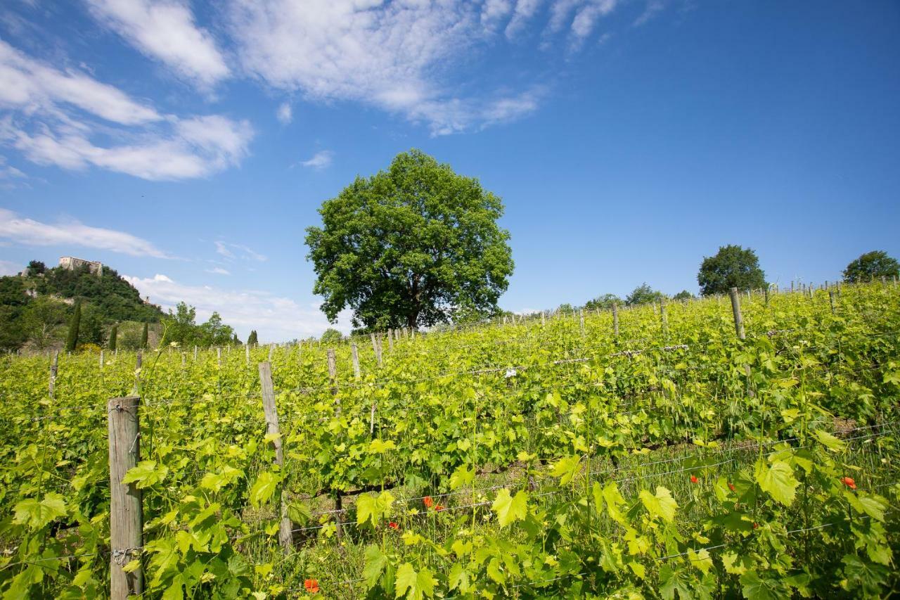 Tenuta Saiano Resort Torriana Bagian luar foto